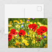 Daisies and Poppies Art Briefkaart (Voorkant / Achterkant)