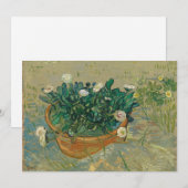 Daisies, Arles | Vincent van Gogh (Voorkant / Achterkant)