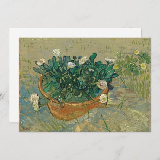 Daisies, Arles | Vincent van Gogh (Voorkant / Achterkant)