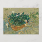 Daisies, Arles | Vincent van Gogh Briefkaart (Voorkant)