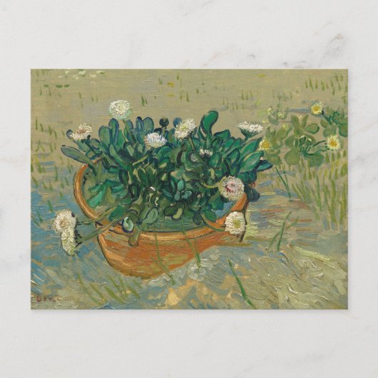 Daisies, Arles | Vincent van Gogh Briefkaart (Voorkant)