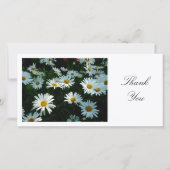 Daisies - Bedankt (Voorkant)