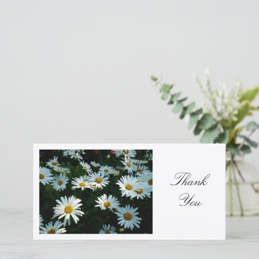 Daisies - Bedankt (Staand voorkant)