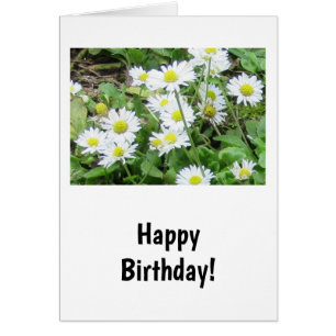 Daisies Birthday Kaart