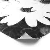 Daisies Black and White Print (Hoek)