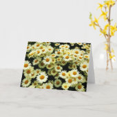 Daisies blanco wenskaart kaart (Gele Bloem)