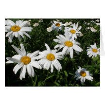 Daisies Blank Inside personaliseer Kaart