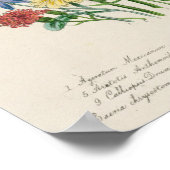 Daisies, bord 31 van 'De Dames' Poster (Hoek)