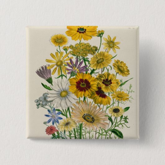 Daisies, bord 31 van 'De Dames' Vierkante Button 5,1 Cm (Voorkant)