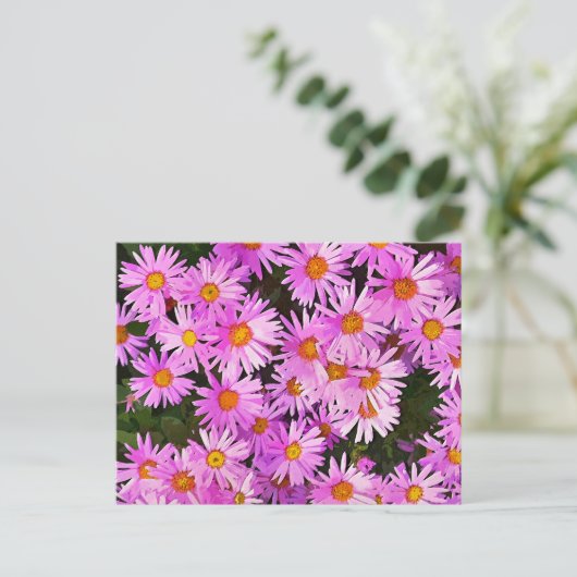 DAISIES BRIEFKAART (Staand voorkant)