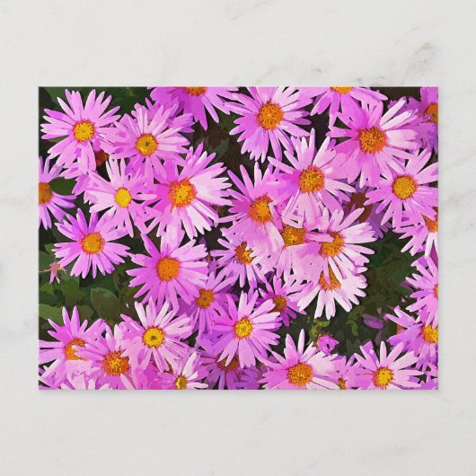 DAISIES BRIEFKAART (Voorkant)