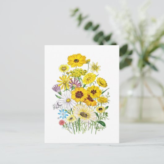 Daisies Briefkaart (Staand voorkant)