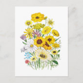 Daisies Briefkaart (Voorkant)