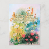 Daisies Briefkaart (Voorkant)