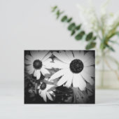 Daisies Briefkaart (Staand voorkant)