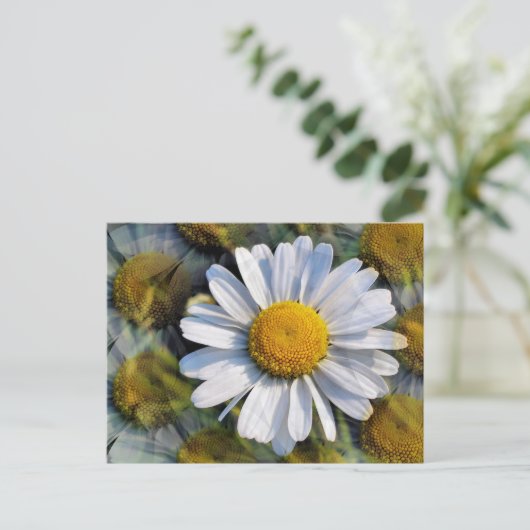 DAISIES BRIEFKAART (Staand voorkant)