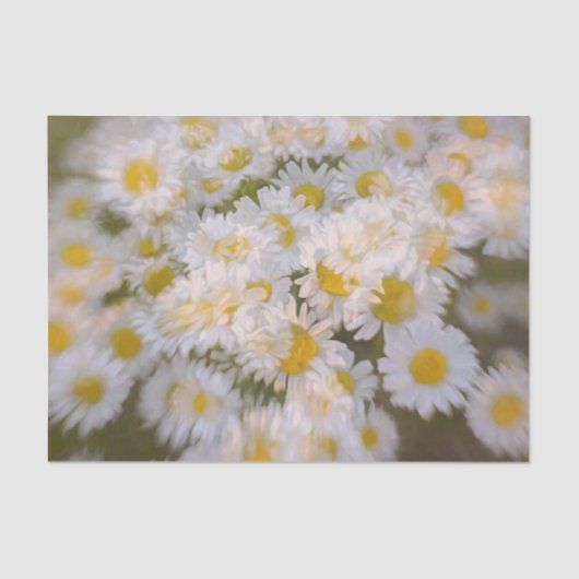 Daisies Bunch White Print Floral Decoupage Tissuepapier (Voorkant)