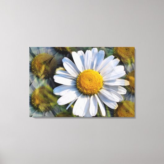 DAISIES CANVAS AFDRUK (Voorkant)