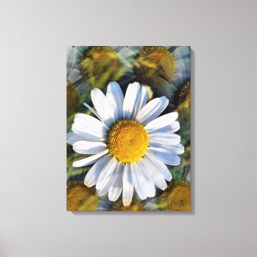 DAISIES CANVAS AFDRUK (Voorkant)