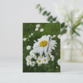 Daisies Close up & Damselfly DIY Briefkaart (Staand voorkant)