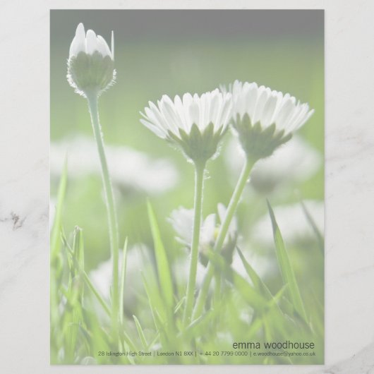 Daisies Custom Briefhoofd (Voorkant)