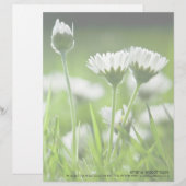 Daisies Custom Briefhoofd (Voorkant / Achterkant)