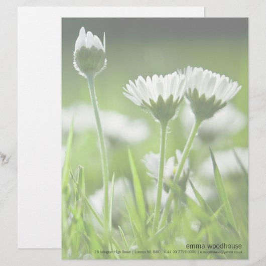 Daisies Custom Briefhoofd (Voorkant / Achterkant)