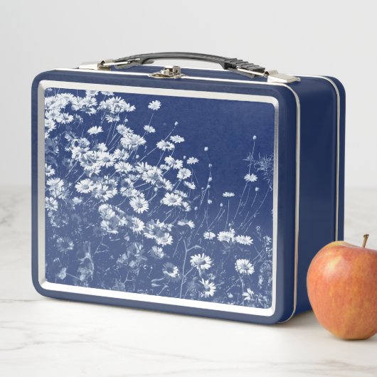 Daisies - Cyanotype-effect (In situ)