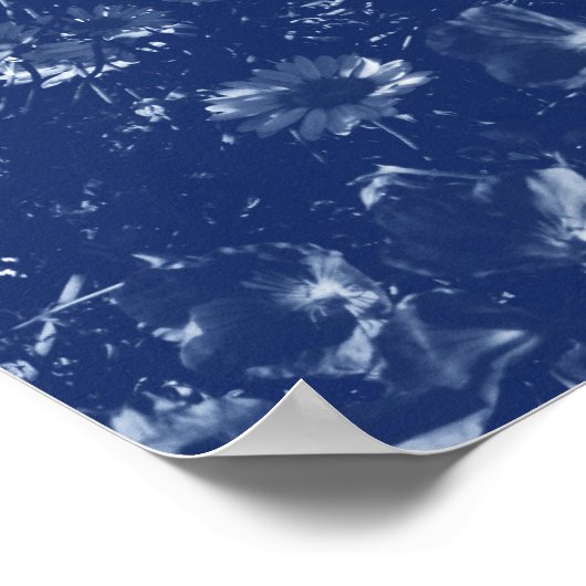 Daisies - Cyanotype-effect Poster (Hoek)