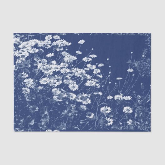 Daisies - Cyanotype-effect Tissuepapier (Voorkant)