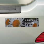 Daisies Daisies Daisies Flowers Bumpersticker (Op auto)