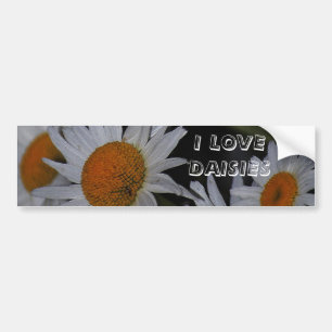 Daisies Daisies Daisies Flowers Bumpersticker