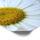 Daisies daisies daisies poster (Hoek)