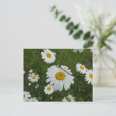 Daisies & Damselfly DIY Briefkaart (Staand voorkant)
