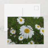 Daisies & Damselfly DIY Briefkaart (Voorkant / Achterkant)