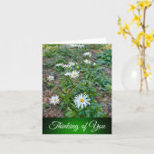 Daisies - Denken aan je Kaart (Gele Bloem)