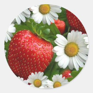 Daisies en aardbeien ronde sticker