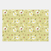 Daisies en Ladybugs-pakpapier Inpakpapier Vel (Voorkant 3)
