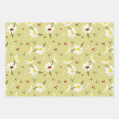 Daisies en Ladybugs-pakpapier Inpakpapier Vel (Voorkant 2)