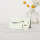 Daisies en White Lilies Light Green Background P Plaatskaartje (Achterkant)