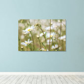 Daisies Field Canvas Afdruk (Insitu (Houten vloer))