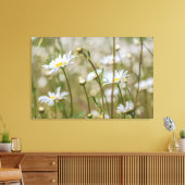 Daisies Field Canvas Afdruk (Insitu (Woonkamer))