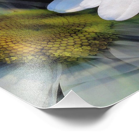 DAISIES FOTO AFDRUK (Hoek)