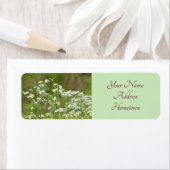 Daisies Foto Etiket (Insitu)