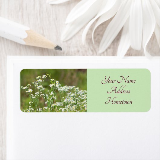 Daisies Foto Etiket (Insitu)