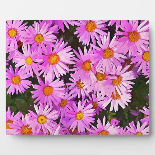 DAISIES FOTOPLAAT (Voorkant)