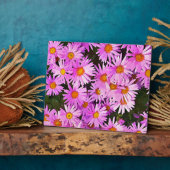 DAISIES FOTOPLAAT (Zijkant)