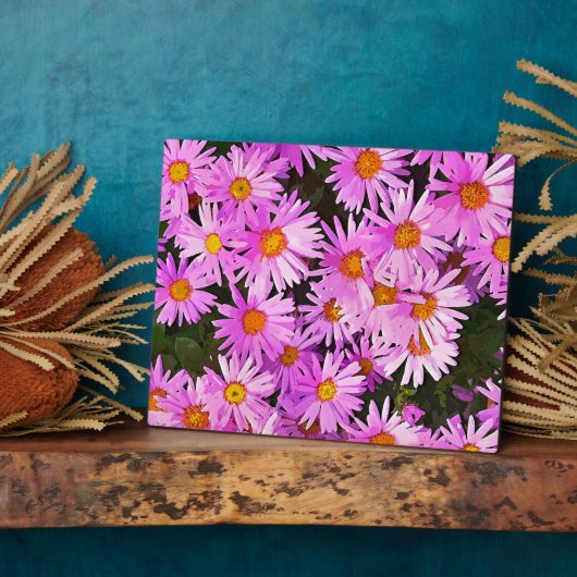 DAISIES FOTOPLAAT (Zijkant)