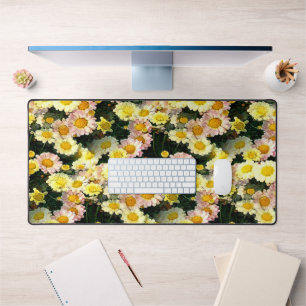Daisies Galore..... Bureaumat