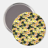 Daisies Galore..... Magneet (Voorkant / Achterkant)